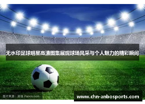 无水印足球明星高清图集展现球场风采与个人魅力的精彩瞬间