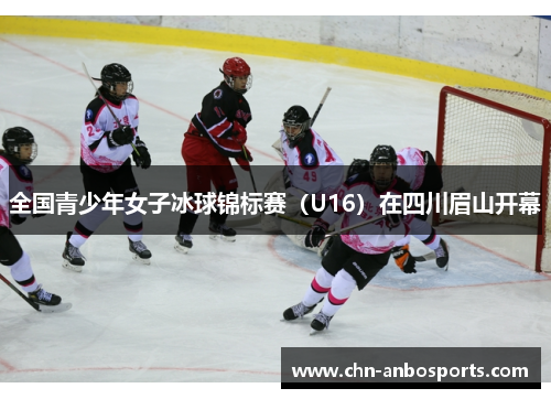 全国青少年女子冰球锦标赛（U16）在四川眉山开幕